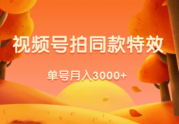 视频号单号月入3000+，利用拍同款特效获取收益，捡钱项目-学途在线