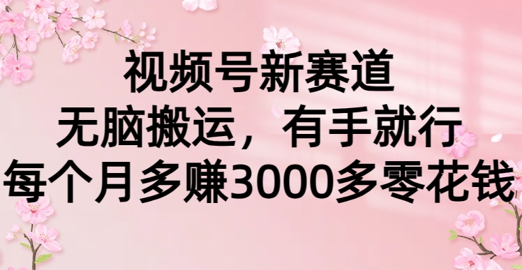 视频号新赛道，无脑搬运，有手就行，每个月多赚3000多零花钱-学途在线