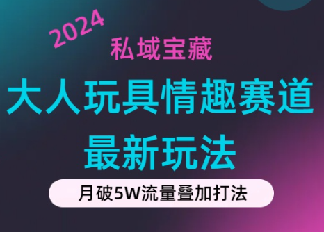 私域宝藏：大人玩具情趣赛道合规新玩法，零投入，私域超高流量成单率高-学途在线