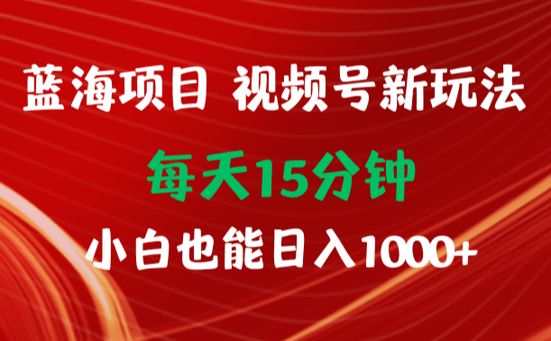 蓝海项目视频号新玩法 每天15分钟 小白也能日入1000+-学途在线