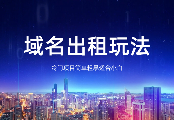 冷门项目，域名出租玩法，简单粗暴适合小白-学途在线