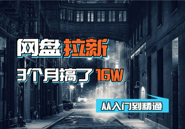 网盘拉新项目，从入门到精通，靠网盘拉新3个多月搞了16W-学途在线