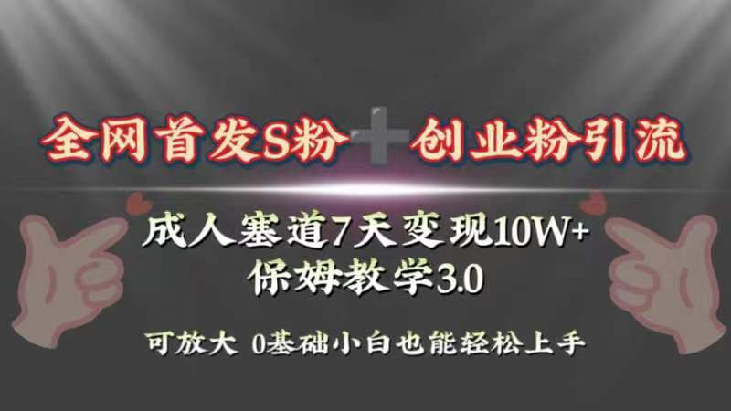 全网首发s粉加创业粉引流变现，成人用品赛道7天变现10w+保姆教学3.0-学途在线
