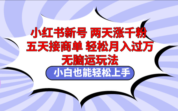 小红书新号两天涨千粉五天接商单轻松月入过万 无脑搬运玩法-学途在线