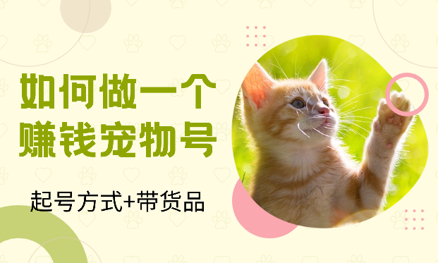 一文教你如何快速起号并做出一个赚钱的宠物号【图文】-学途在线
