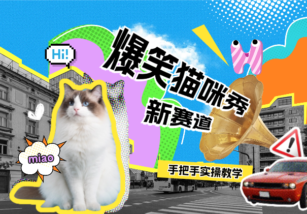 爆笑猫咪视频：自媒体搞钱新赛道，手把手带你实操-学途在线