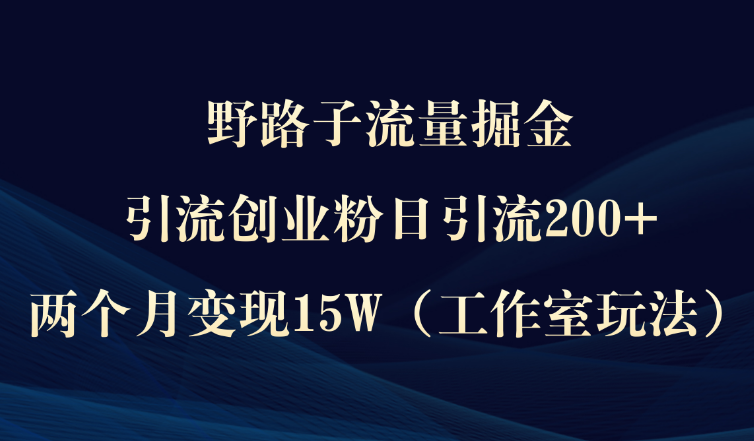 野路子流量掘金，引流创业粉日引流200+，两个月变现15W（工作室玩法）-学途在线
