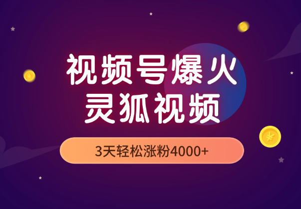 5分钟教你制作视频号爆火的灵狐视频，3天轻松涨粉4000+-学途在线
