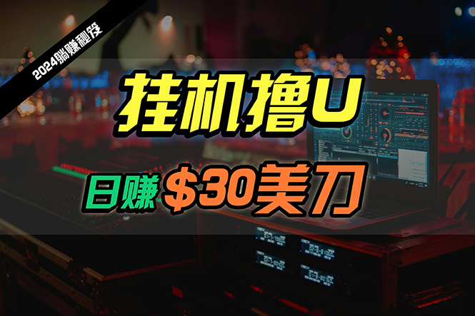 日赚30美刀，2024最新海外挂机内部项目，全程无人值守，可批量放大-学途在线