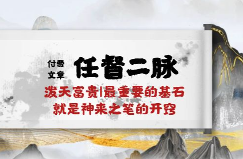 某付费文章《任督 二脉 泼天富贵|最重要的基石 就是神来之笔的开窍|万字》-学途在线