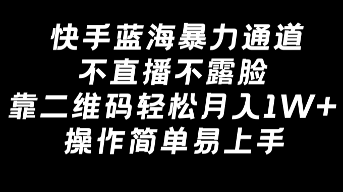 快手蓝海暴力通道，不直播不露脸，靠二维码轻松月入1W+，操作简单易上手-学途在线