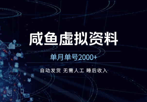 咸鱼虚拟资料 自动发货 无需人工 单月单号2000+-学途在线