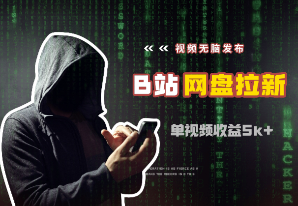 视频无脑发布B站做网盘拉新，单视频最高收益5k+-学途在线