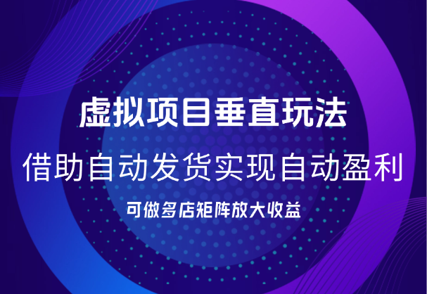 虚拟项目垂直玩法，借助自动发货软件，实现自动盈利-学途在线