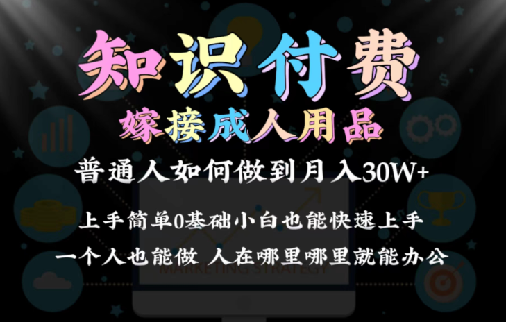 2024普通人做知识付费结合成人用品如何实现单月变现30w 保姆教学1.0-学途在线