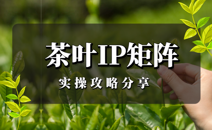 1个月内快速布局！做了30个小红书茶叶茶人IP矩阵号的实操攻略分享【图文】-学途在线
