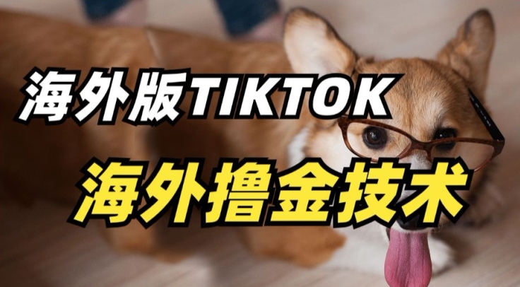 抖音海外版tiktok淘金技术，这个风口行业，赚钱真的不难-学途在线