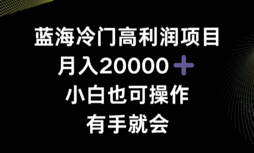 蓝海冷门高利润项目月入2000，小白也可操作有手就会-学途在线