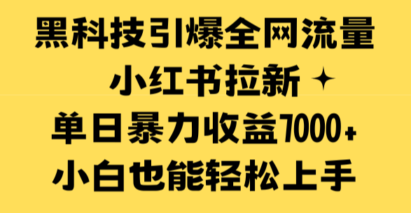 黑科技引爆全网流量小红书拉新，单日暴力收益7000+，小白也能轻松上手-学途在线