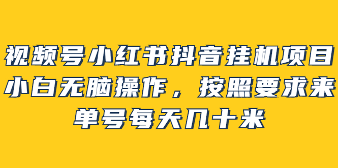 视频号小红书抖音挂机项目，小白无脑操作，按照要求来，单号每天几十米-学途在线