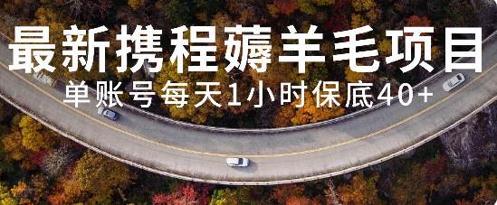最新携程薅羊毛项目，单账号每天1小时保底收益40+，可矩阵操作-学途在线