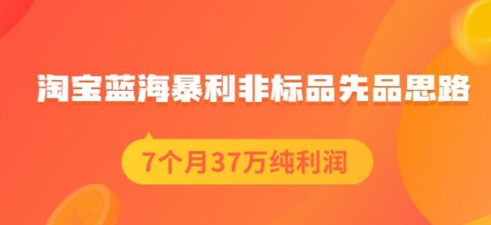 盗坤淘宝蓝海暴利非标品先品思路，7个月37万纯利润，压箱干货分享！【付费文章】-学途在线