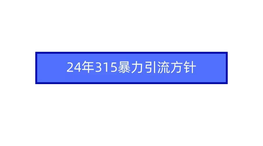 2024年315暴力引流方针-学途在线
