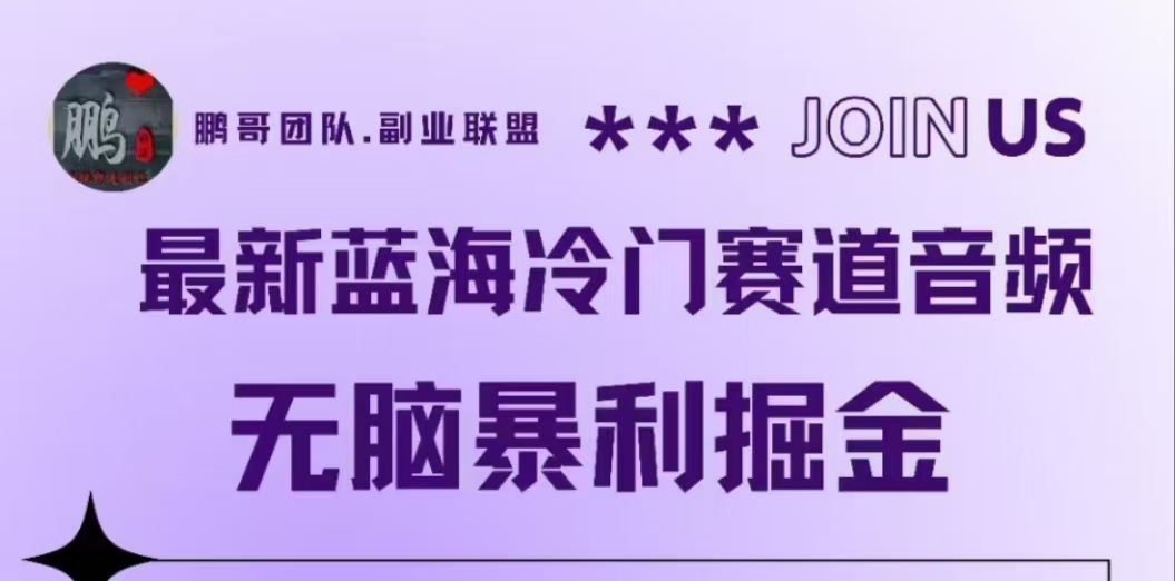 最新蓝海冷门赛道音频，无脑暴利掘金-学途在线