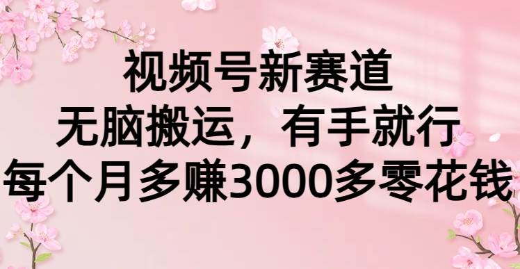 视频号新赛道，无脑搬运，有手就行，每个月多赚3000多零花钱-学途在线