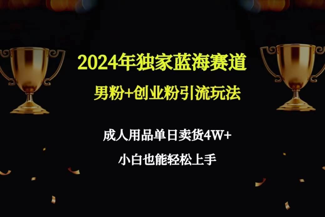 2024年独家蓝海赛道男粉+创业粉引流玩法，成人用品单日卖货4W+保姆教程-学途在线