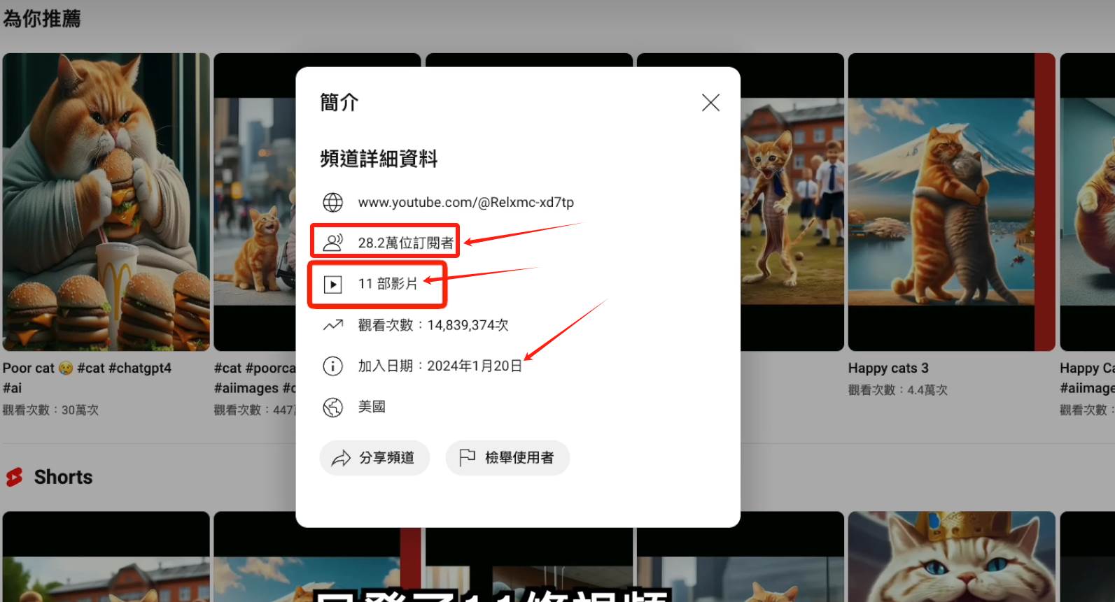 图片[2]-AI貓咪剧情号，30天涨粉100w，制作简单，一个视频全网分发，轻松月入1W -xx网创