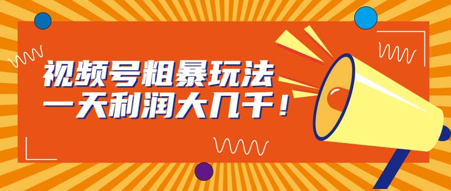 视频号粗暴玩法，一天利润大几千-学途在线