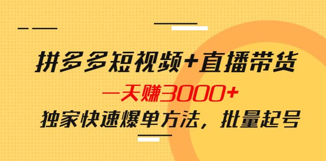 拼多多短视频+直播带货，一天赚3000+独家快速爆单方法，批量起号-学途在线