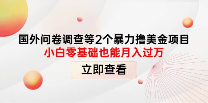 国外问卷调查等2个暴力撸美元项目，小白零基础也能月入过万-学途在线
