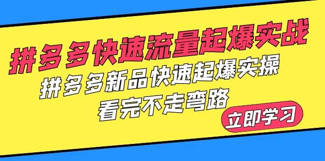 图片[1]-拼多多-快速流量起爆实战，拼多多新品快速起爆实操，看完不走弯路-xx网创