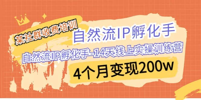 某社群收费培训：自然流IP 孵化手-14天线上实操训练营 4个月变现200w-学途在线
