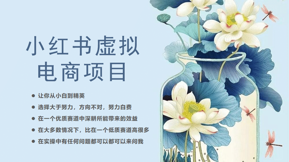 小红书虚拟电商从0到1，让你从小白到精英（20节实操课程）-学途在线