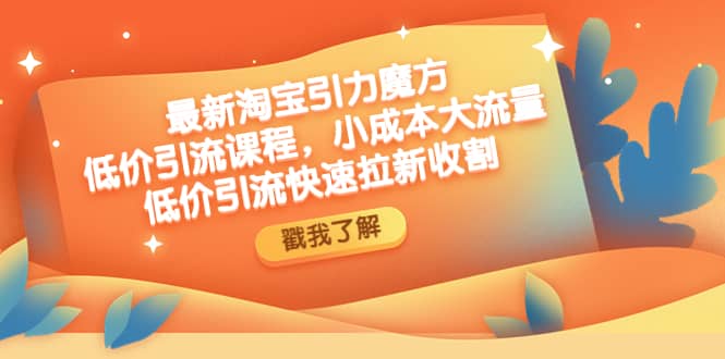 最新淘宝引力魔方低价引流实操：小成本大流量-学途在线
