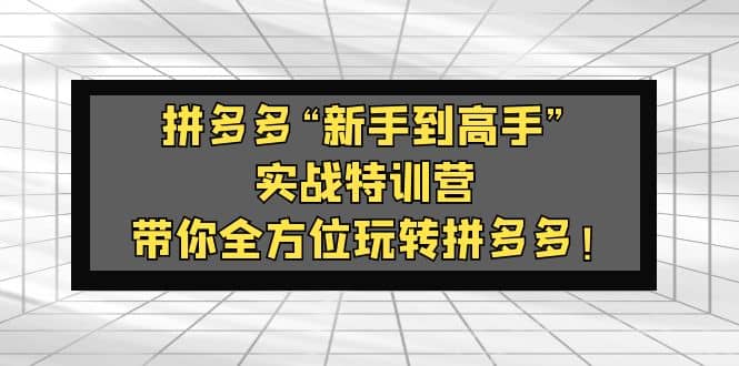 拼多多“新手到高手”实战特训营：带你全方位玩转拼多多-学途在线