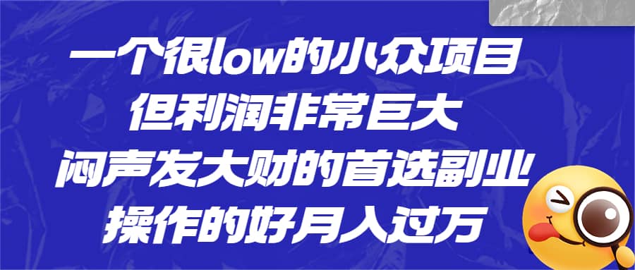一个很low的小众项目，但利润非常巨大，闷声发大财的首选副业，月入过万-学途在线