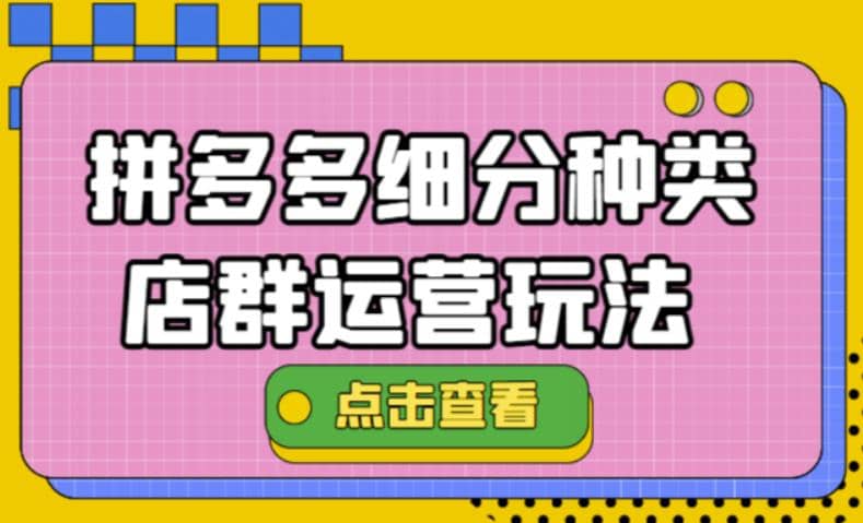 拼多多细分种类店群运营玩法3.0，11月最新玩法，小白也可以操作-学途在线