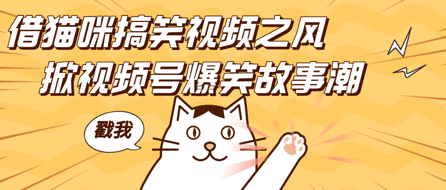 借猫咪搞笑视频之风，掀视频号爆笑故事潮，轻松日赚四位数，开启无门槛赚钱新体验！-学途在线