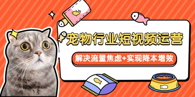 图片[1]-宠物/行业短视频运营 流量增长的一层窗户纸 解决流量焦虑 实现降本增效-xx网创