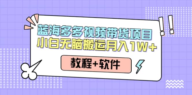 人人都能操作的蓝海多多视频带货项目 小白无脑搬运（教程+软件）-学途在线