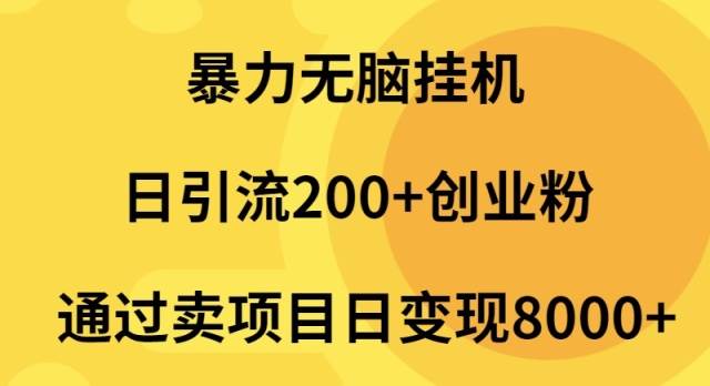 暴力无脑挂机日引流200+创业粉通过卖项目日变现2000+-学途在线