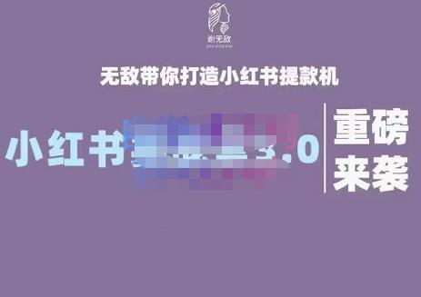 图片[1]-谢无敌·小红书实战营3.0，无敌带你打造小红书提款机 价值7999元-xx网创
