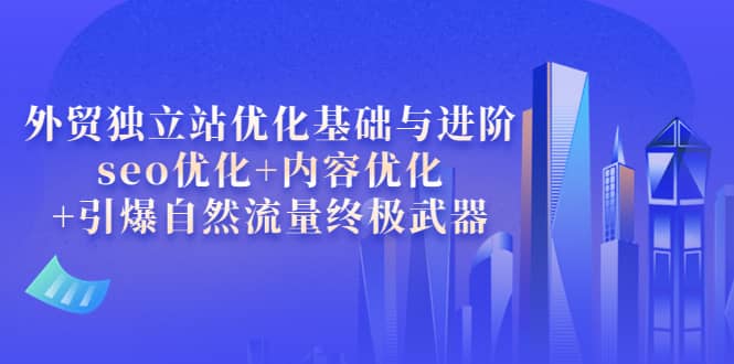 外贸独立站优化基础与进阶，seo优化+内容优化+引爆自然流量终极武器-学途在线