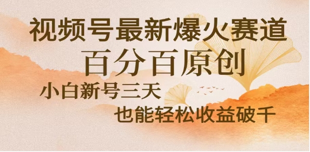 视频号独家玩法，老年养生赛道，无脑搬运爆款视频，日入2000+-学途在线