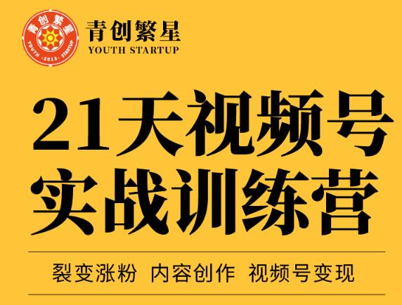 张萌21天视频号实战训练营，裂变涨粉、内容创作、视频号变现 价值298元-学途在线