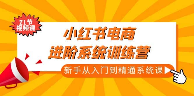 小红书电商进阶系统训练营：新手从入门到精通系统课（21节视频课）-学途在线